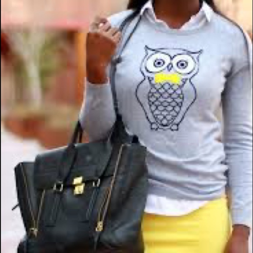Owl Sweater
